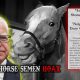 Tim Walz Horse Semen Hoax